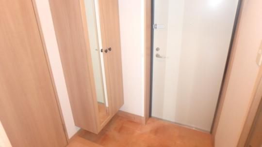 �y���̑��z�@���]�^�C�v