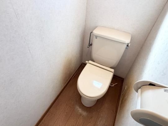 �y���̑��z�@�g�C��
