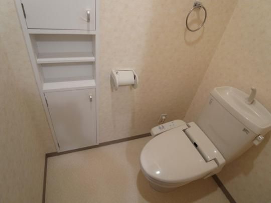 �y���̑��z�@�g�C��