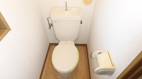 �y���̑��z�@�g�C��