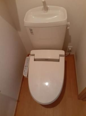 �y���̑��z�@�g�C��