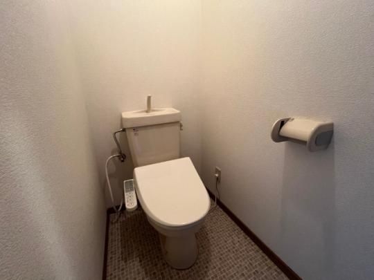 �y���̑��z�@�g�C��