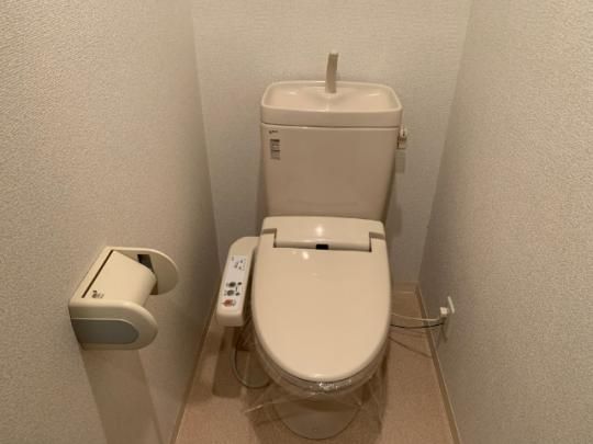 �y���̑��z�@�g�C��