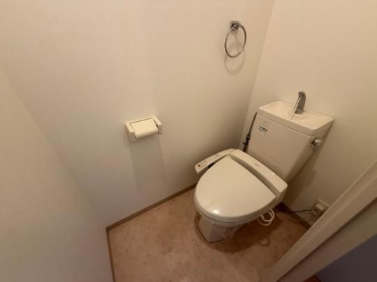 �y���̑��z�@�g�C��
