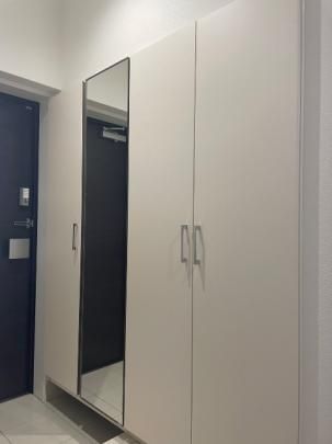 �y���̑��z�@���^�^�C�v