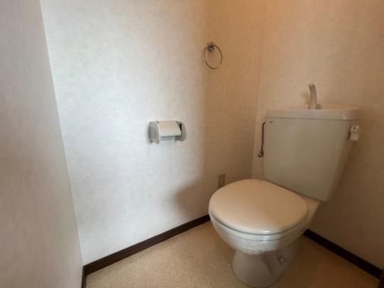 �y���̑��z�@�g�C��