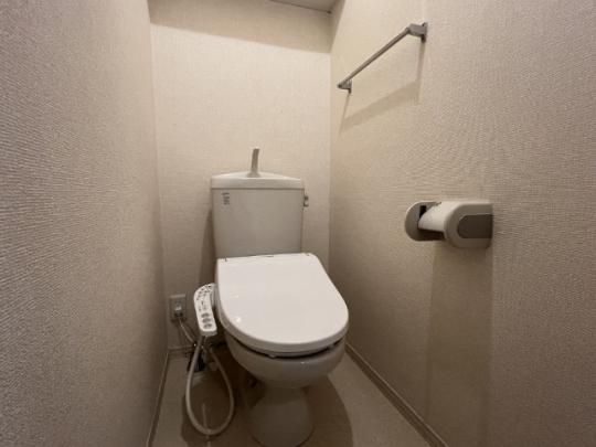 �y���̑��z�@�g�C��