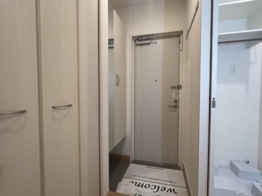 �y���̑��z�@203�@����