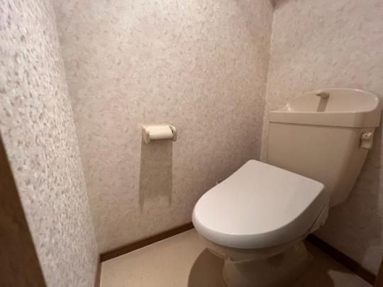 �y���̑��z�@�g�C��