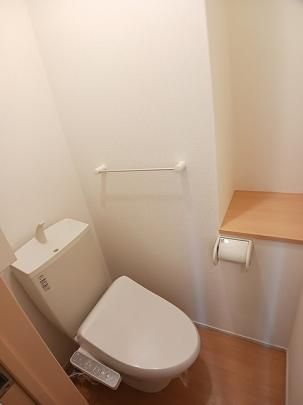 �y���̑��z�@�g�C��