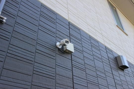 �y�����O�ρz�@�h�ƃJ����