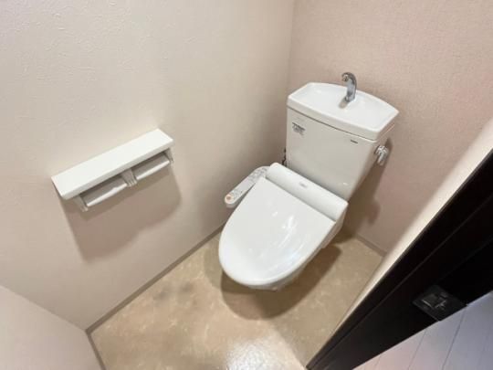 �y���̑��z�@�g�C��