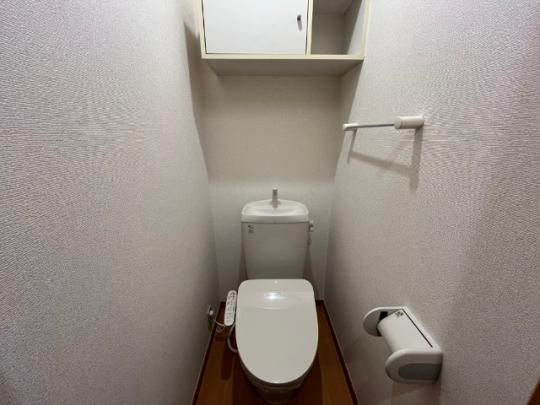 �y���̑��z�@�g�C��