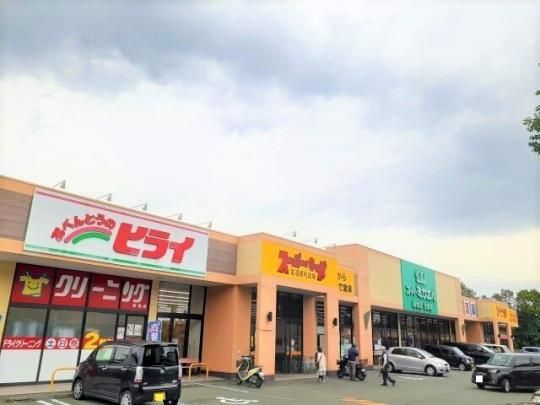 �y���Ӂz�@�~�J�G���F1100m