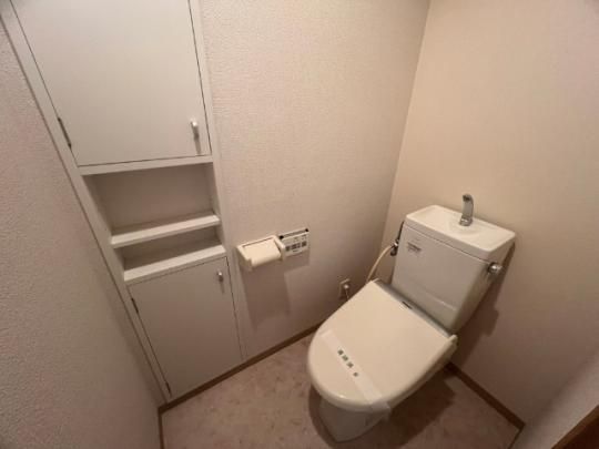 �y���̑��z�@���^�^�C�v