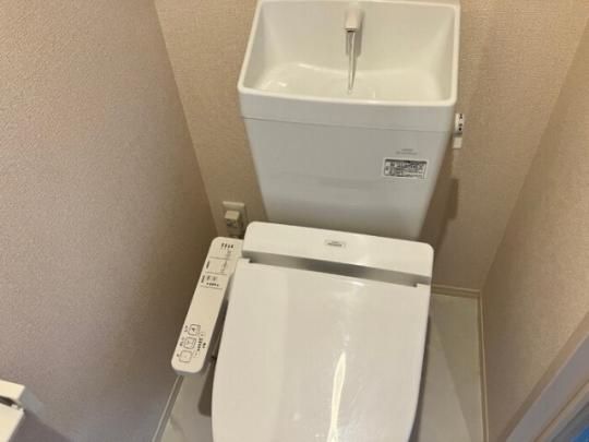 �y���̑��z�@�g�C��