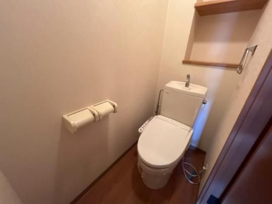 �y���̑��z�@�V�����[�t�g�C��