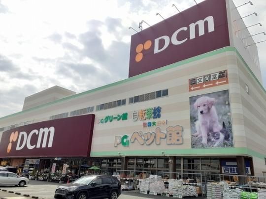 �y���Ӂz�@�c�b�l���o�C�p�X�X�F1200m