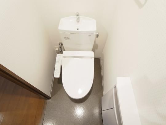 �y���̑��z�@�g�C��