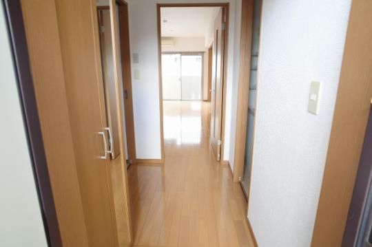 �y���̑��z�@����