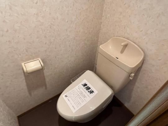 �y���̑��z�@�g�C��