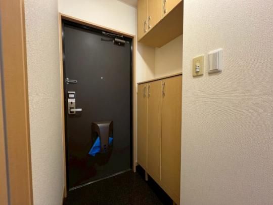 �y���̑��z�@����