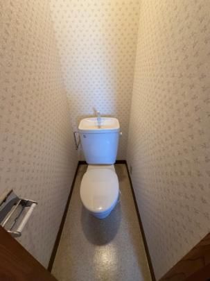 �y���̑��z�@�g�C��